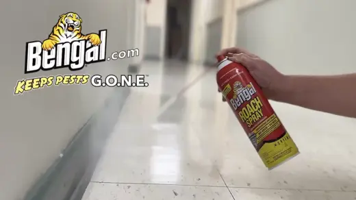bengal roach spray